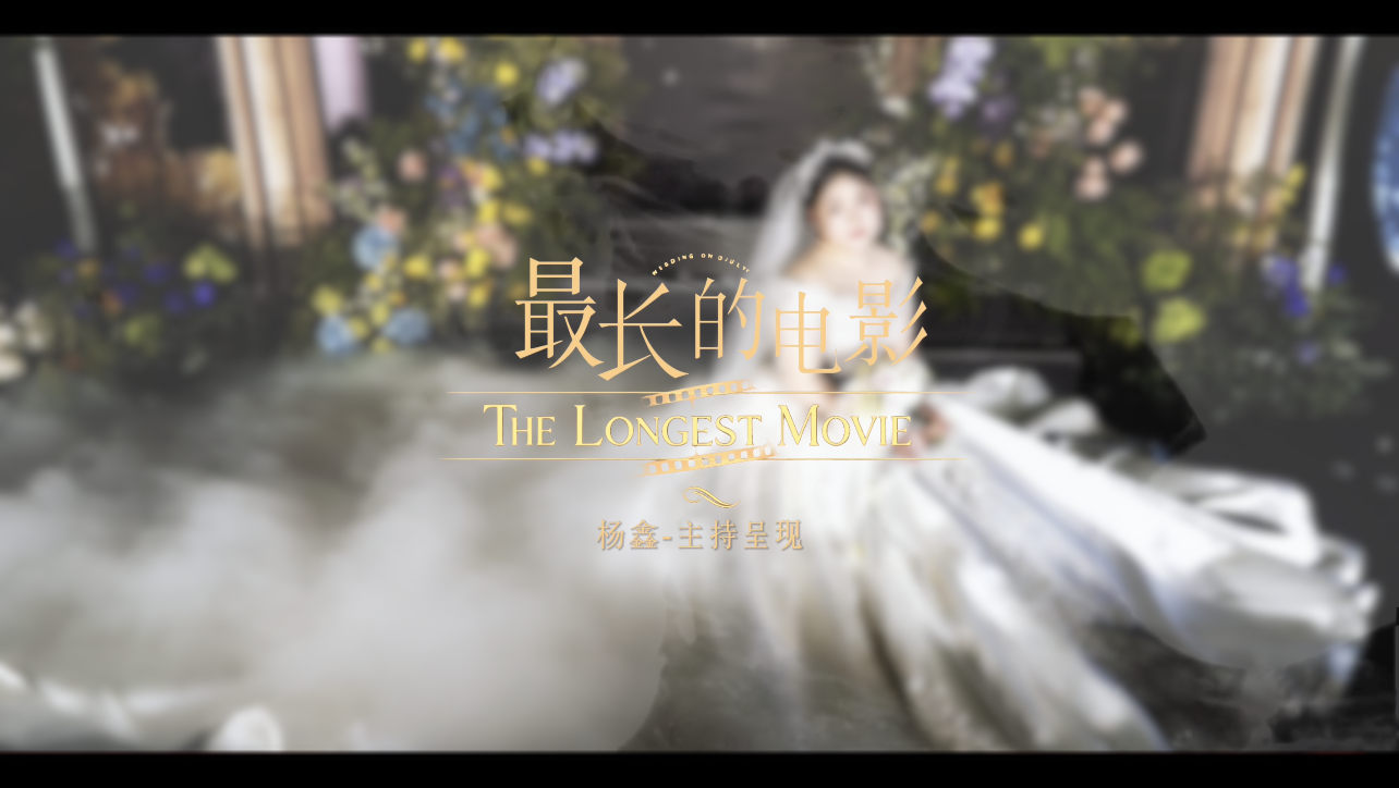 视频作品