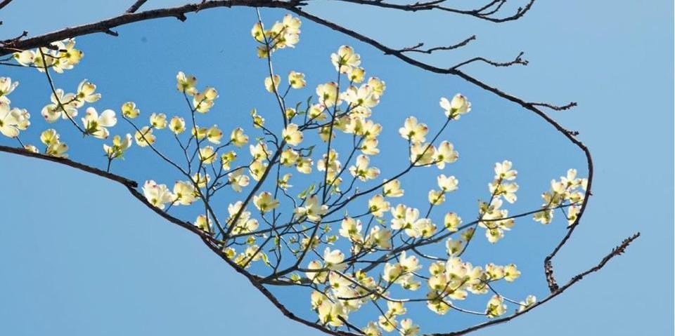 背景图